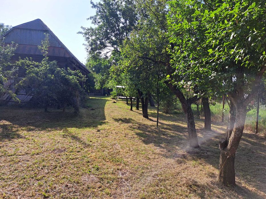 Casa cu livada + teren 5000 mp langa Tg. Secuiesc