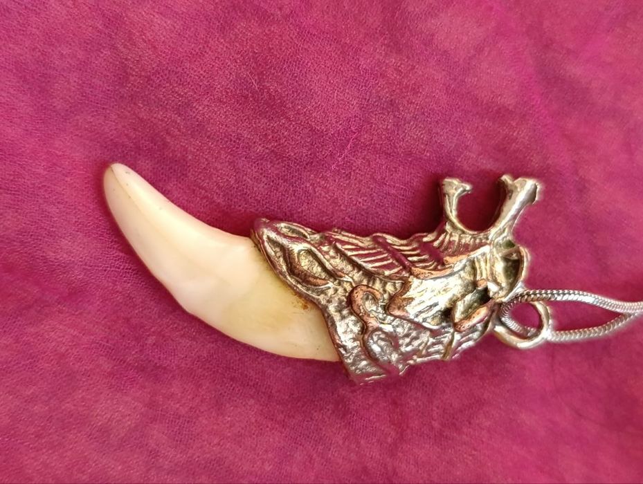 Кулон из натурального волчьего клыка , серебряный крестик