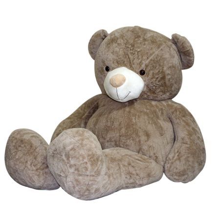 Urs de plus gigant 2.20 metri Maro Kota Baby