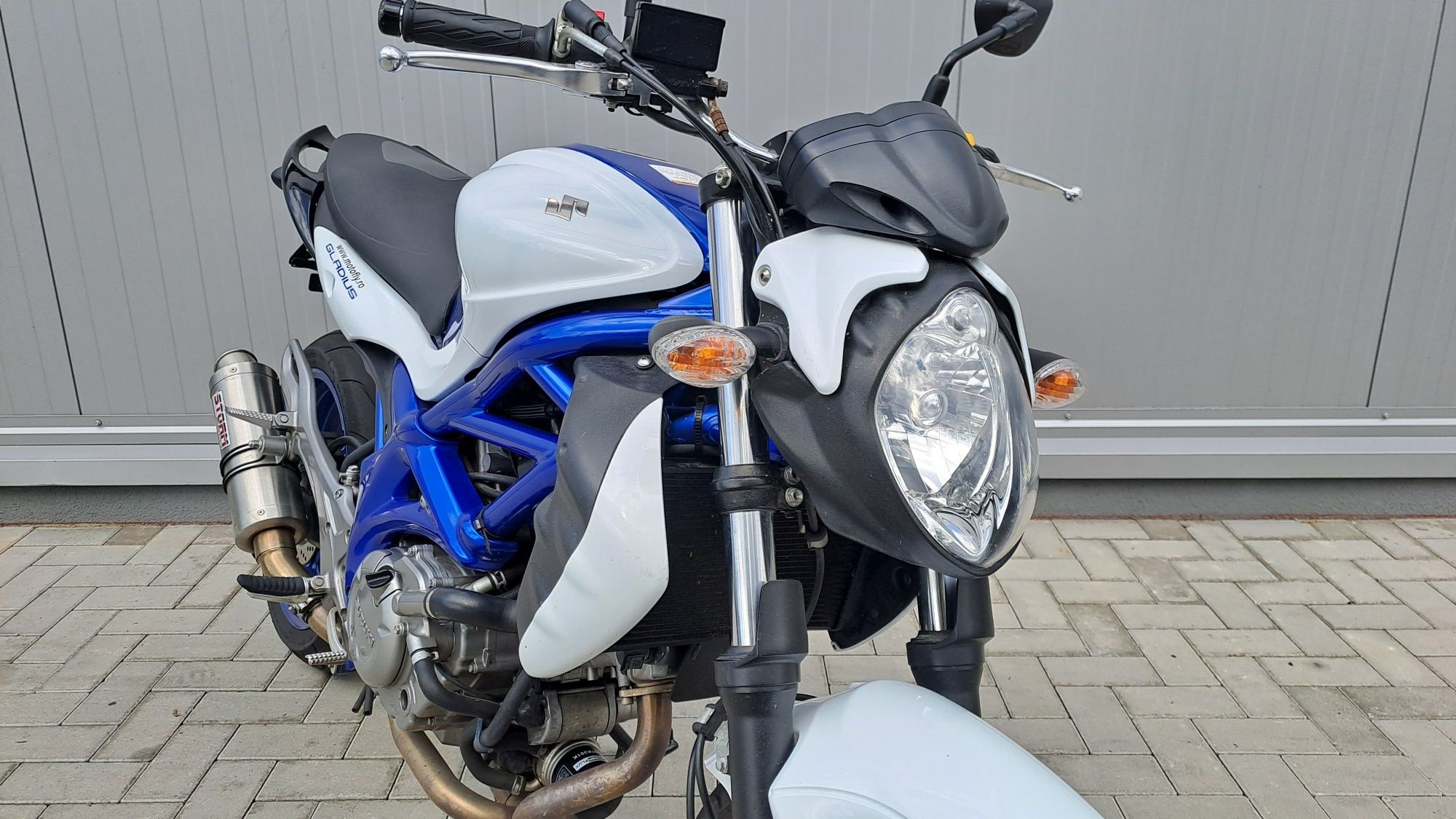 Suzuki Sfv659 Gladius an 2011