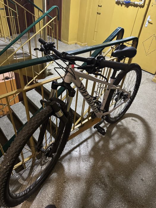 Specialized Rockhopper 29 x2,3, 2020-MTB frane hidraulice, 2x9 viteza