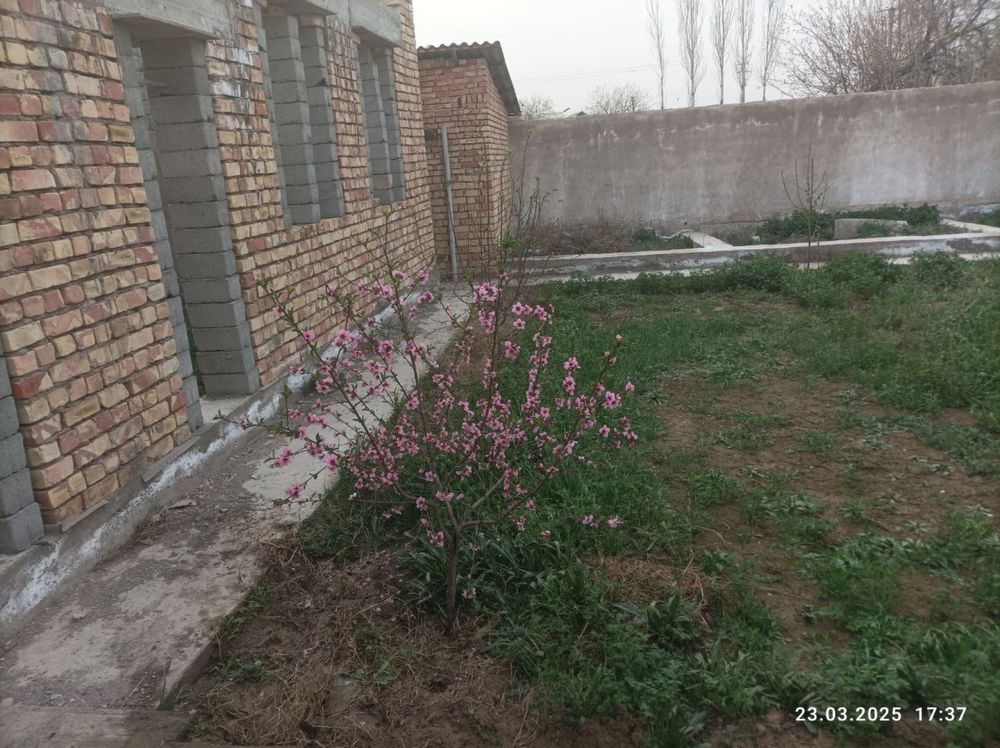 Продается дом. Уй сотилади