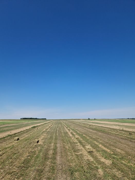 Lucerna curata 2025